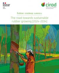Couverture de la synthèse de feuille de route hévéa -EN