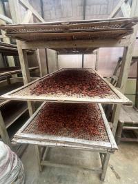 Community-scale drying infrastructure observed during the Kulon Progo field visit (© IndoKakao/partners).