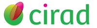 Cirad