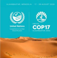 Desertification COP17
