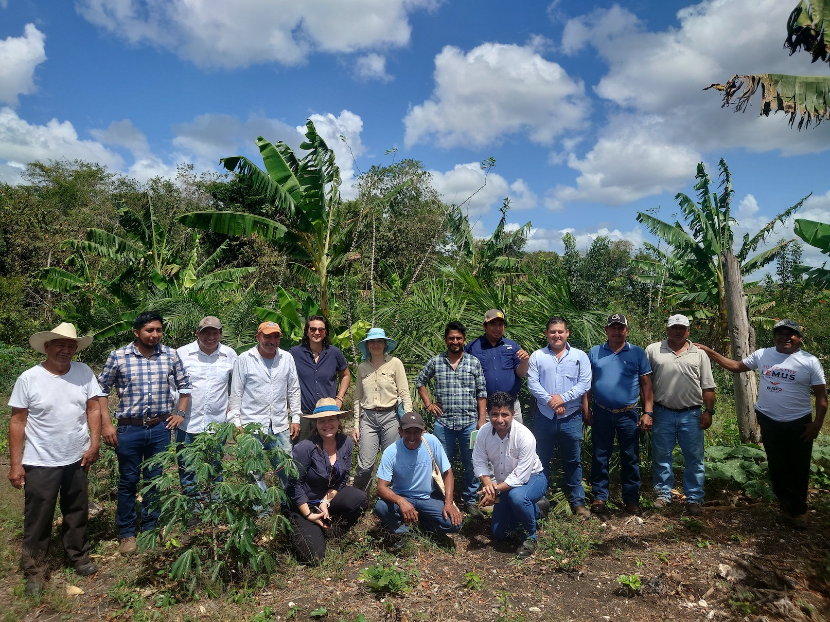 grupo optipalmex marzo 6