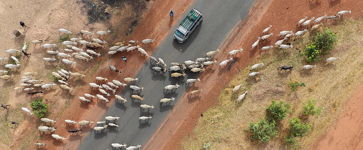 Senegal, Tristan Paris © Imagéo