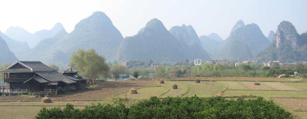 Rizières après récolte et verger aux environs de Guilin, Guangxi au sud-est de la Chine. Meules et gerbes jonchent le champ. © G. Trébuil, CIRAD