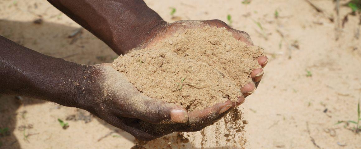 Sol du bassin arachidier, Sénégal. © C. Dangléant, Cirad